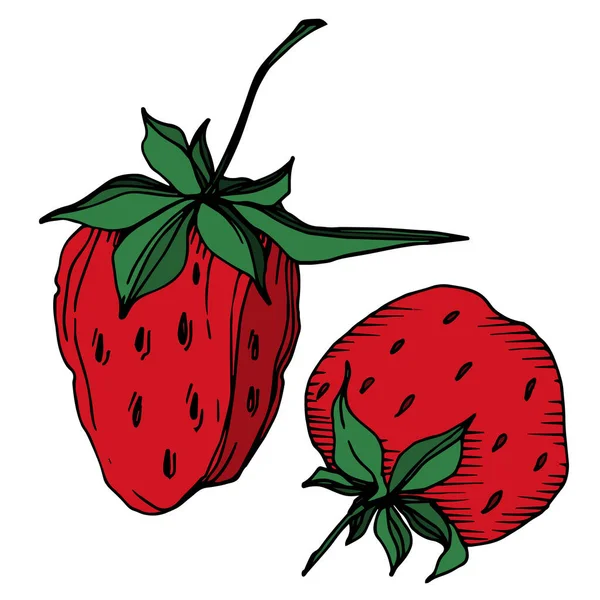 病媒草莓新鲜浆果健康食品. 黑白版画水墨艺术. 孤立的草莓图解元素. — 图库矢量图片