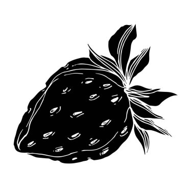 Vektör çilek taze böğürtlen sağlıklı yiyecek. Siyah beyaz işlemeli mürekkep sanatı. İzole edilmiş çilek illüstrasyon ögesi.