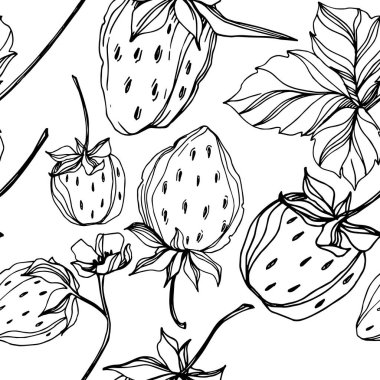 Vektör çilek taze böğürtlen sağlıklı yiyecek. Siyah beyaz işlemeli mürekkep sanatı. Kusursuz arkaplan deseni.