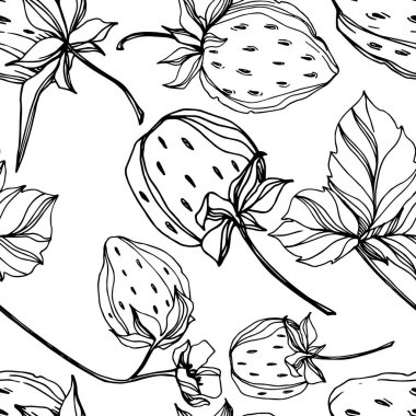 Vektör çilek taze böğürtlen sağlıklı yiyecek. Siyah beyaz işlemeli mürekkep sanatı. Kusursuz arkaplan deseni.