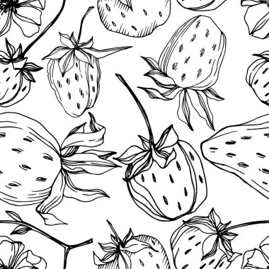 Vektör çilek taze böğürtlen sağlıklı yiyecek. Siyah beyaz işlemeli mürekkep sanatı. Kusursuz arkaplan deseni.