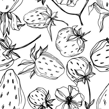 Vektör çilek taze böğürtlen sağlıklı yiyecek. Siyah beyaz işlemeli mürekkep sanatı. Kusursuz arkaplan deseni.