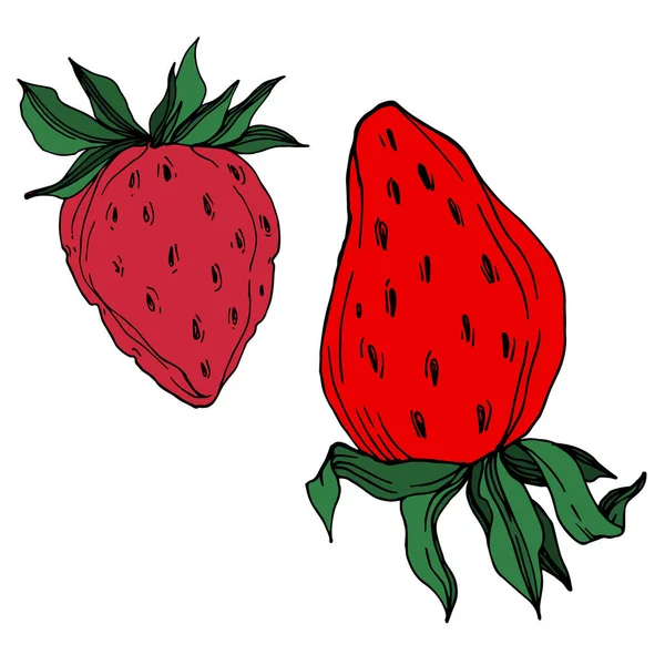 Векторная клубника свежая ягода здоровая пища. Черно-белый рисунок чернил. Изолированный элемент иллюстрации клубники . — стоковый вектор