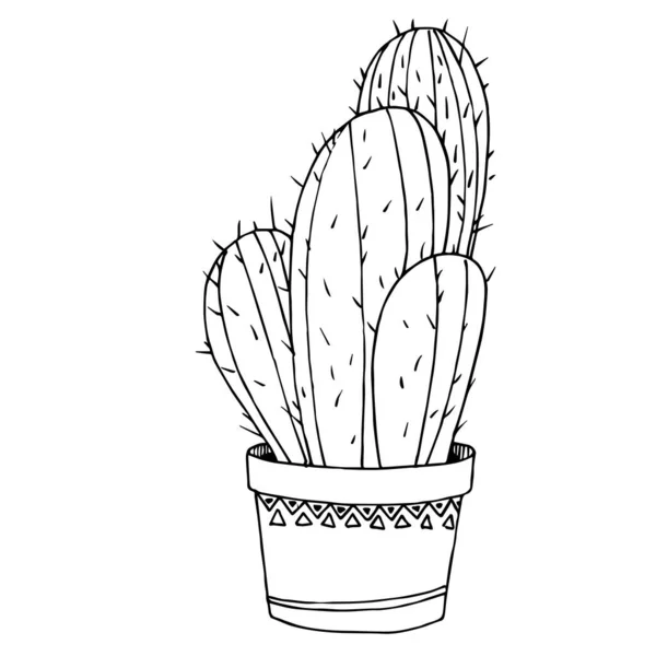 Vector Cacti flores botânicas florais. Tinta gravada a preto e branco. Isolado elemento ilustração cacto . — Vetor de Stock