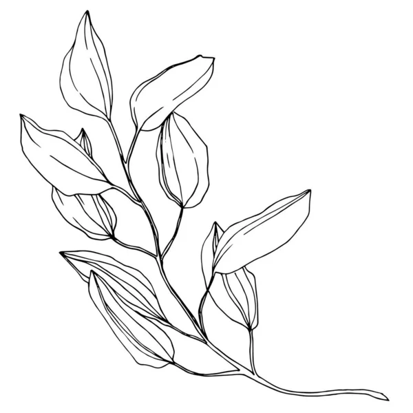 Brocha Hojas Playaストックベクター ロイヤリティフリーbrocha Hojas Playaイラスト ページ 3 Depositphotos