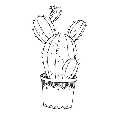 Vektör Kaktüs çiçekli botanik çiçeği. Siyah beyaz işlemeli mürekkep sanatı. İzole kaktüs çizim elementi.