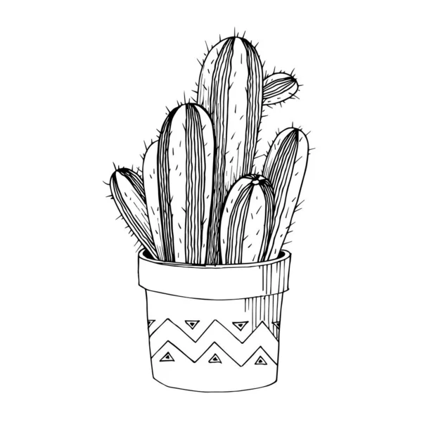 Imprime Noir Et Blanc Avec Cactus En Pots Image Vectorielle Par Elecstasyy C Illustration Imprime Noir Et Blanc Avec Cactus En Pots Image Vectorielle Par Elecstasyy C Illustration