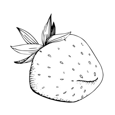 Vektör Çilek sağlıklı yiyecek. Siyah beyaz işlemeli mürekkep sanatı. İzole edilmiş çilek illüstrasyon ögesi.