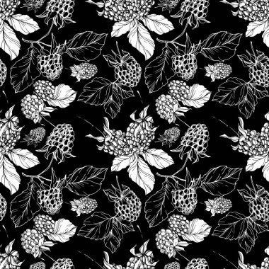 Böğürtlen sağlıklı yemek. Siyah beyaz işlemeli mürekkep sanatı. Kusursuz bir arka plan modeli. Kumaş duvar kağıdı baskı dokusu.