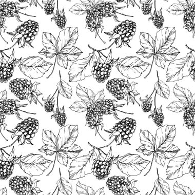 Böğürtlen sağlıklı yemek. Siyah beyaz işlemeli mürekkep sanatı. Kusursuz bir arka plan modeli. Kumaş duvar kağıdı baskı dokusu.