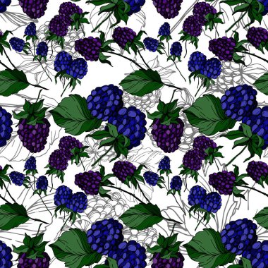 Böğürtlen sağlıklı yemek. Siyah beyaz işlemeli mürekkep sanatı. Kusursuz bir arka plan modeli. Kumaş duvar kağıdı baskı dokusu.