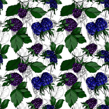 Böğürtlen sağlıklı yemek. Siyah beyaz işlemeli mürekkep sanatı. Kusursuz bir arka plan modeli. Kumaş duvar kağıdı baskı dokusu.