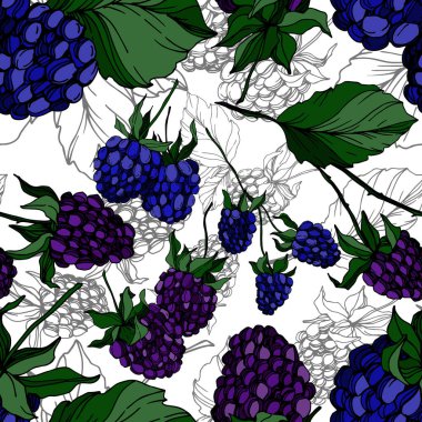 Böğürtlen sağlıklı yemek. Siyah beyaz işlemeli mürekkep sanatı. Kusursuz bir arka plan modeli. Kumaş duvar kağıdı baskı dokusu.