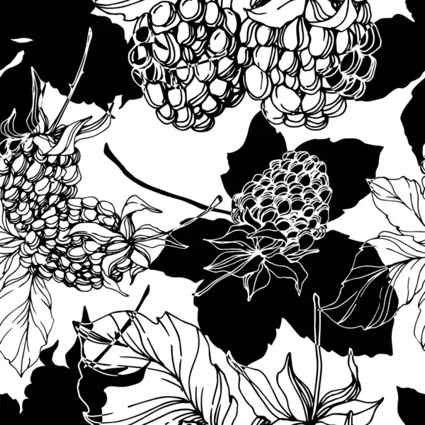 Blackberry comida saludable. Tinta grabada en blanco y negro. Patrón de fondo sin costuras. Textura de impresión de papel pintado de tela . — Vector de stock