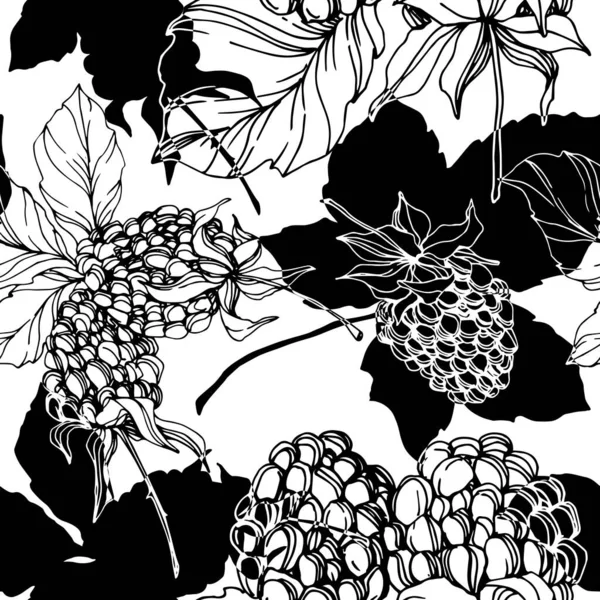 Blackberry comida saludable. Tinta grabada en blanco y negro. Patrón de fondo sin costuras. Textura de impresión de papel pintado de tela . — Vector de stock