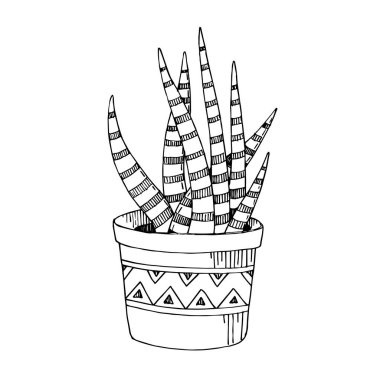 Vektör Kaktüs çiçekli botanik çiçeği. Siyah beyaz işlemeli mürekkep sanatı. İzole kaktüs çizim elementi.