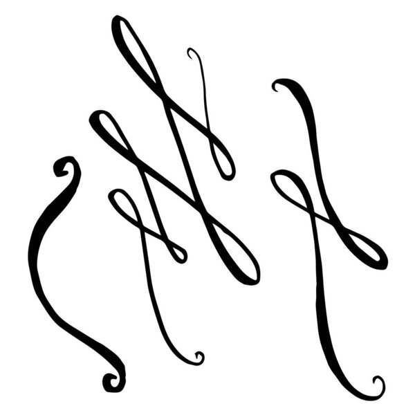 Vector monogram calligraphic element. Black and white engraved ink art. Isolated monogranms illustration element.