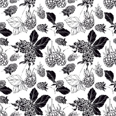 Böğürtlen sağlıklı yemek. Siyah beyaz işlemeli mürekkep sanatı. Kusursuz bir arka plan modeli. Kumaş duvar kağıdı baskı dokusu.