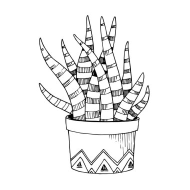 Vektör Kaktüs çiçekli botanik çiçeği. Siyah beyaz işlemeli mürekkep sanatı. İzole kaktüs çizim elementi.