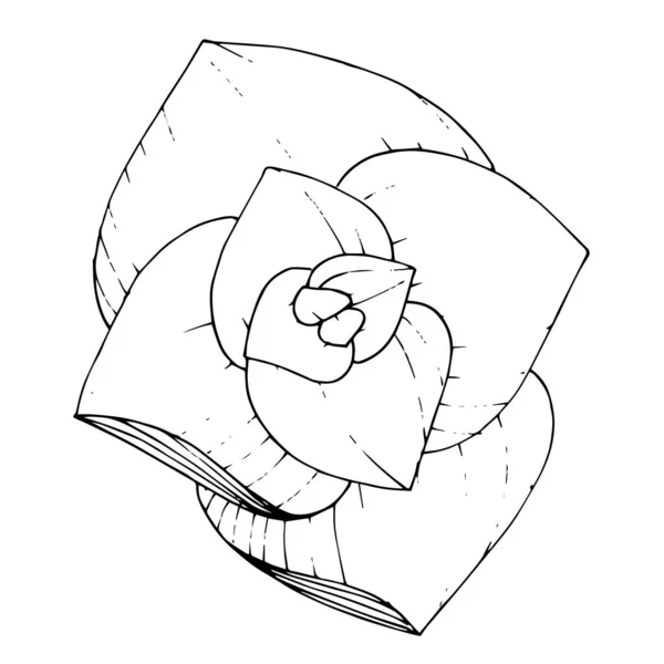 Vector Suculenta flor botánica floral. Tinta grabada en blanco y negro. Elemento ilustrativo de suculentas aisladas . — Vector de stock