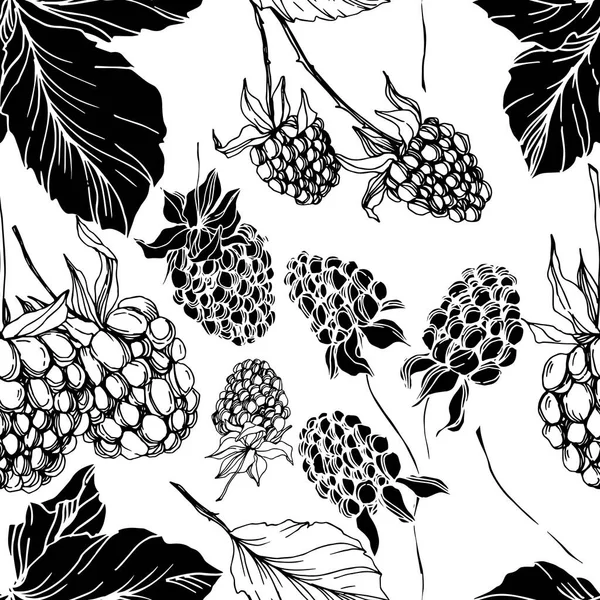 Blackberry gesunde Nahrung. Schwarz-weiß gestochene Tuschekunst. nahtlose Hintergrundmuster. Stoff Tapete drucken Textur. — Stockvektor