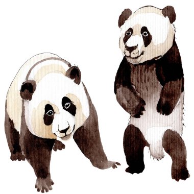 Egzotik vahşi hayvan izole edilmiş. Suluboya arkaplan çizimi. İzole edilmiş hayvan örnekleme elementi.