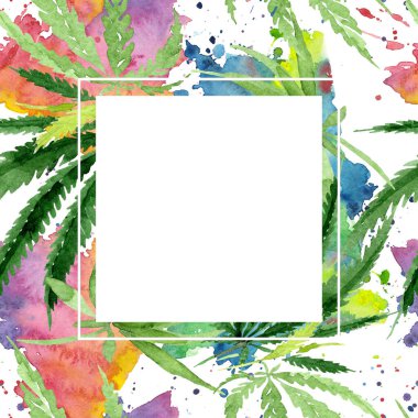 Kenevir yeşili yapraklar. Suluboya arkaplan çizimi. Çerçeve kenar süsü kare.