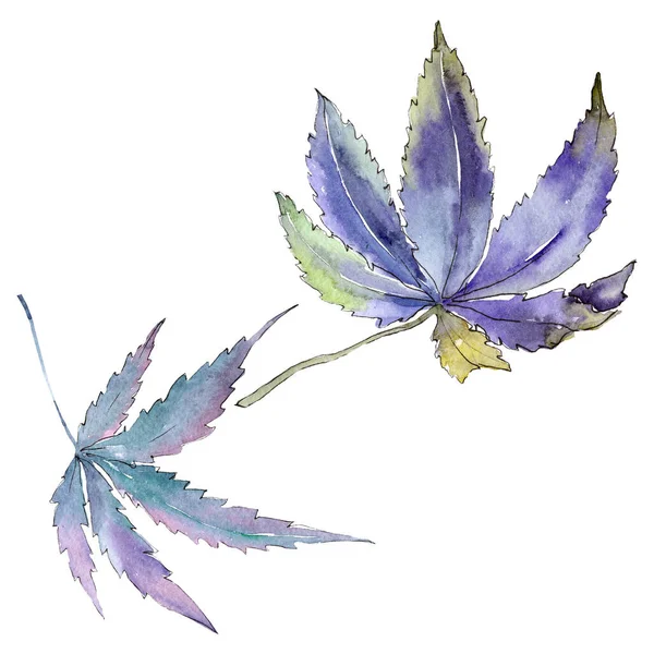 Foglie verdi di cannabis. Acquerello sfondo illustrazione set. Elemento isolante di illustrazione della cannabis . — Foto Stock