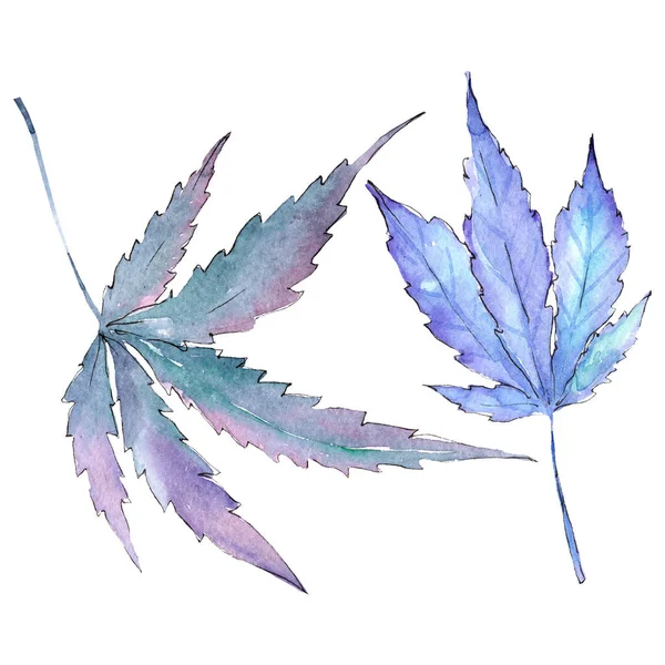 Cannabis groene bladeren. Aquarel achtergrond illustratie set. Geïsoleerd cannabis illustratie element. — Stockfoto