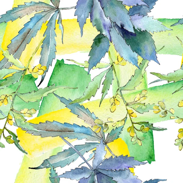 Zielone liście konopi. Zestaw ilustracji tła akwareli. Płynny wzór tła. — Zdjęcie stockowe