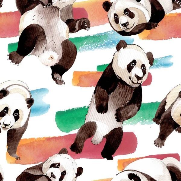 Panda exótica animal salvaje aislado. Conjunto de ilustración de fondo acuarela. Patrón de fondo sin costuras . —  Fotos de Stock