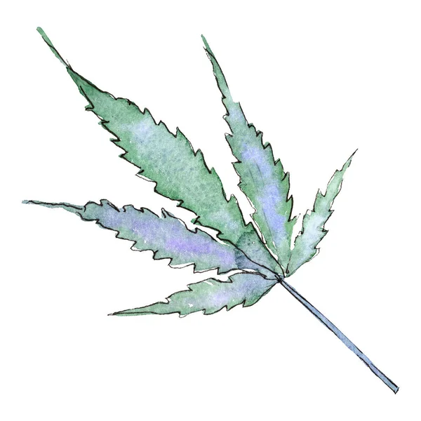 Cannabis gröna blad. Akvarell bakgrund illustration set. Isolerat illustrationselement för cannabis. — Stockfoto