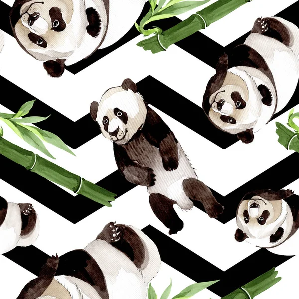 Panda exótica animal salvaje aislado. Conjunto de ilustración de fondo acuarela. Patrón de fondo sin costuras . —  Fotos de Stock