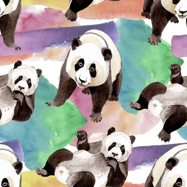 Экзотические панды дикие животные изолированы. Набор акварельных фонов. Бесшовный рисунок фона . — стоковое фото