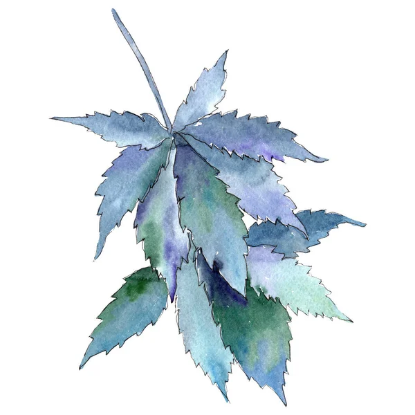 대마초 잎 이 녹색이다. 수채 색 배경 삽화 세트. 고립된 대마초 삽화 요소. — 스톡 사진