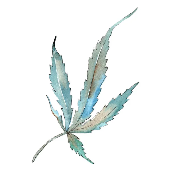 Zielone liście konopi. Zestaw ilustracji tła akwareli. Izolowany element ilustracji marihuany. — Zdjęcie stockowe
