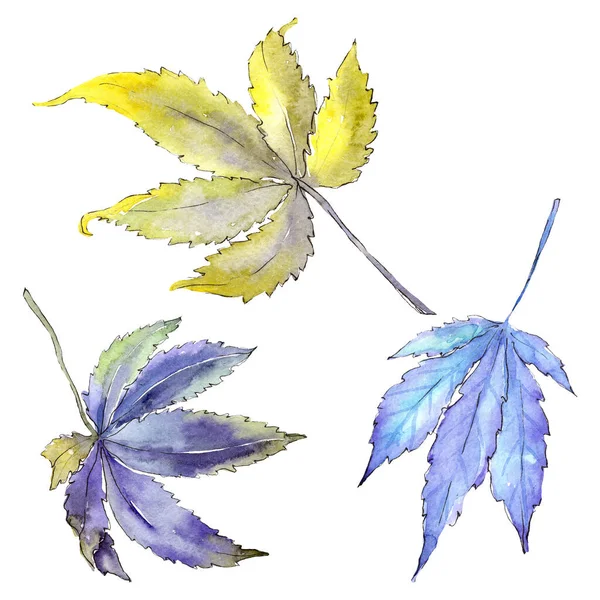 Зеленые листья конопли. Набор акварельных фонов. Изолированный элемент иллюстрации конопли . — стоковое фото