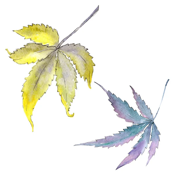 Cannabis green leaves. Watercolor background illustration set. Isolated cannabis illustration element. — Stock Photo, Image