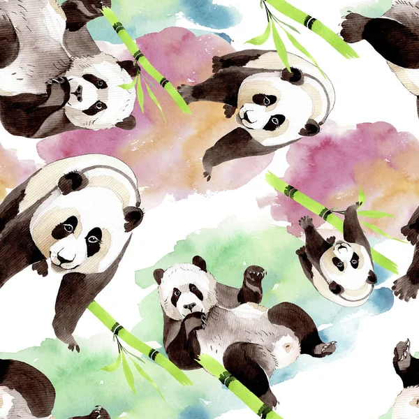 Panda exótica animal salvaje aislado. Conjunto de ilustración de fondo acuarela. Patrón de fondo sin costuras . —  Fotos de Stock