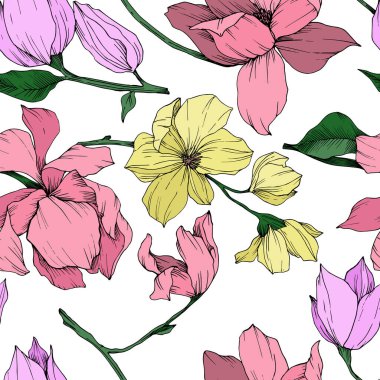 Vektör Magnolia çiçek botanik çiçekleri. Siyah beyaz işlemeli mürekkep sanatı. Kusursuz arkaplan deseni.