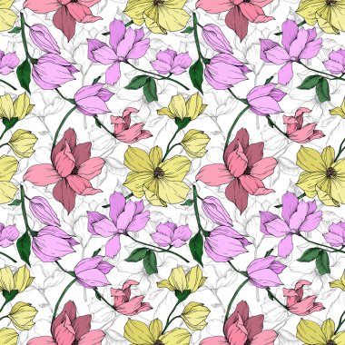 Vektör Magnolia çiçek botanik çiçekleri. Siyah beyaz işlemeli mürekkep sanatı. Kusursuz arkaplan deseni.