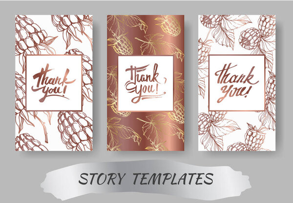 Vector Raspberry healthy food isolated. Black and white engraved ink art. Wedding background card decorative border.