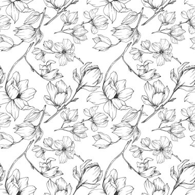 Vektör Magnolia çiçek botanik çiçekleri. Siyah beyaz işlemeli mürekkep sanatı. Kusursuz arkaplan deseni.