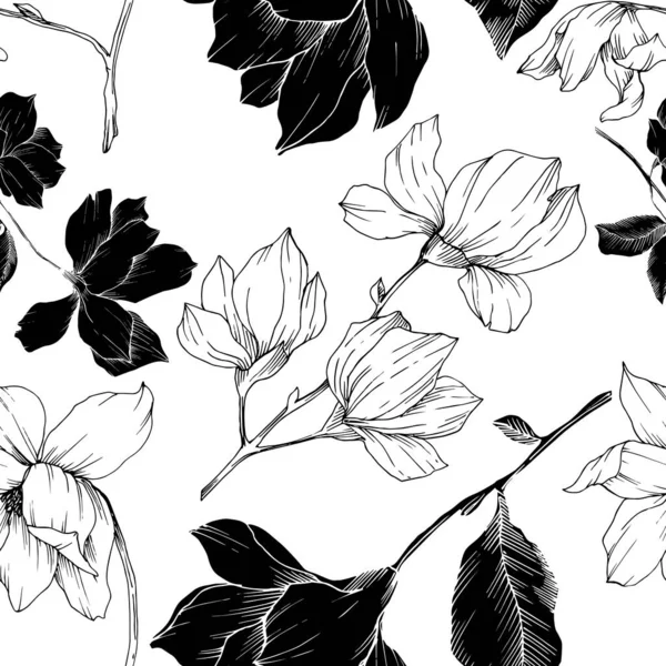 Vector Magnolia bloemen botanische bloemen. Zwart-wit gegraveerde inktkunst. Naadloze achtergrond patroon. — Stockvector