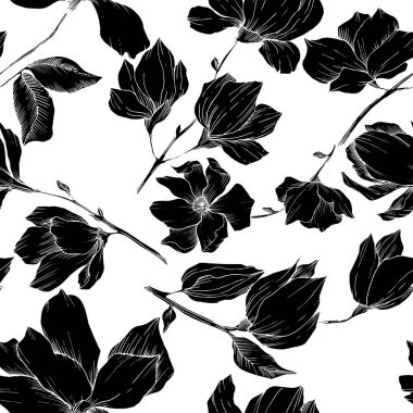 Vektör Magnolia çiçek botanik çiçekleri. Siyah beyaz işlemeli mürekkep sanatı. Kusursuz arkaplan deseni.