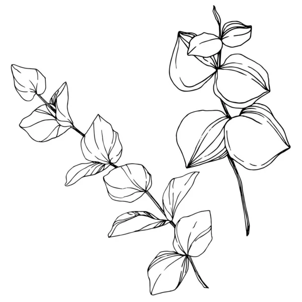 Brocha Hojas Playaストックベクター ロイヤリティフリーbrocha Hojas Playaイラスト ページ 3 Depositphotos