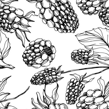 Vektör Blackberry sağlıklı gıda. Siyah ve beyaz oyulmuş mürekkep sanatı. Kesintisiz arka plan deseni.