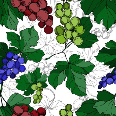 Vector Grape Berry sağlıklı yemek. Siyah beyaz işlemeli mürekkep sanatı. Kusursuz arkaplan deseni.