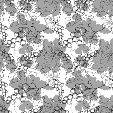 Vector Grape Berry sağlıklı yemek. Siyah beyaz işlemeli mürekkep sanatı. Kusursuz arkaplan deseni.