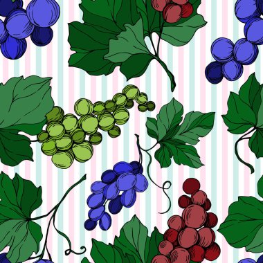 Vector Grape Berry sağlıklı yemek. Siyah beyaz işlemeli mürekkep sanatı. Kusursuz arkaplan deseni.